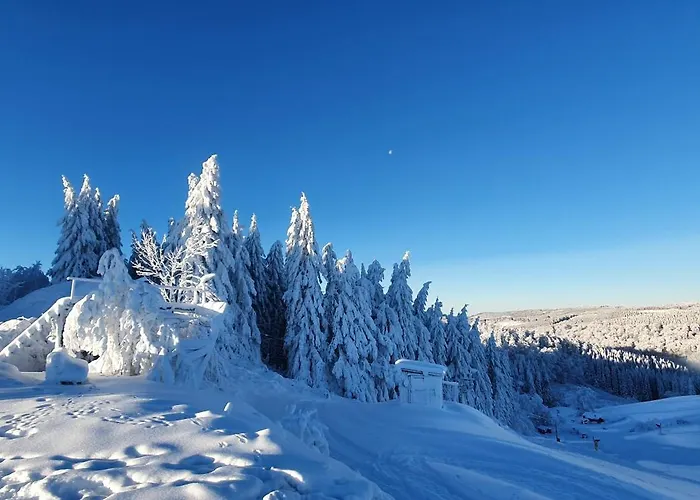 Haus Schneider شقة